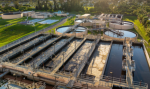 water quality issues